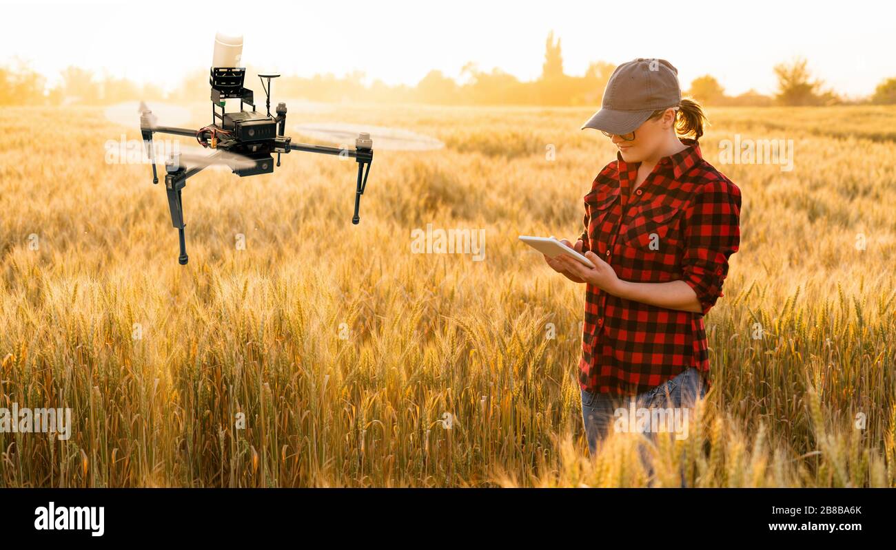 Woman farmer controls drone sprayer with a tablet. Smart farming and precision agriculture Stock Photo