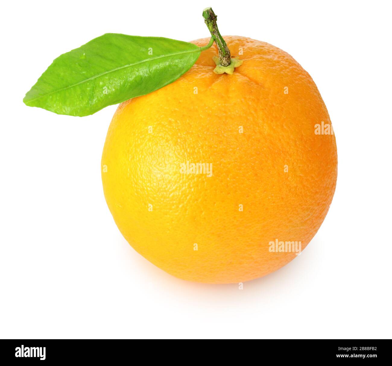 An orange (Citrus) with leaf isolated on white background, including clipping path without shade. Germany.  Eine Apfelsine (Zitrusfrucht) mit Blatt is Stock Photo