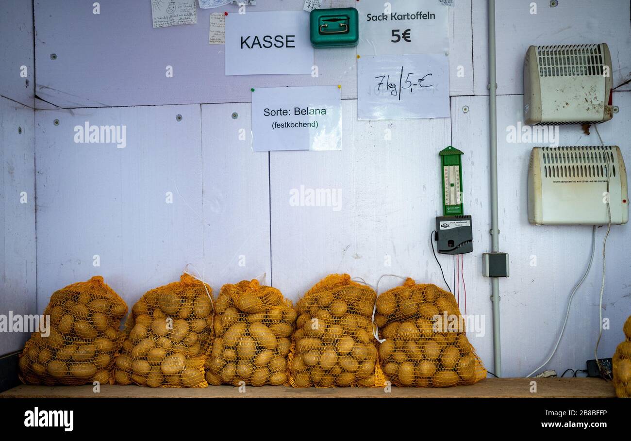 Tatendorf, Germany. 20th Mar, 2020. Potatoes are placed in a stall at a farmer's farm. The Corona crisis has significantly increased the demand for potatoes last week. Credit: Philipp Schulze/dpa/Alamy Live News Stock Photo
