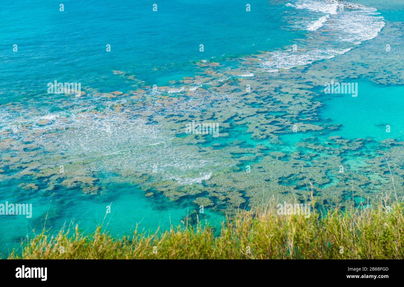Snorkeling Bay, Hanauma Bay, in Oahu,Hawaii Stock Photo Alamy