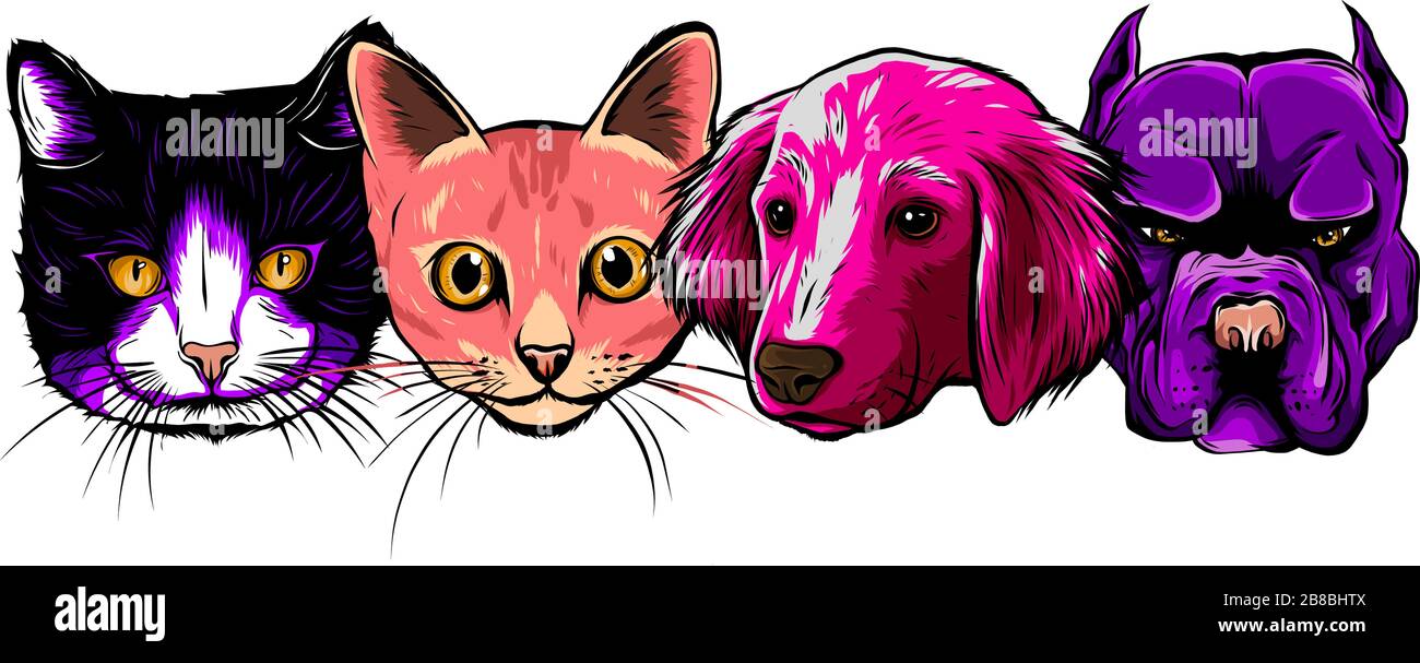 seamless doodle dogs and cats faces colorful background vector Stock Vector