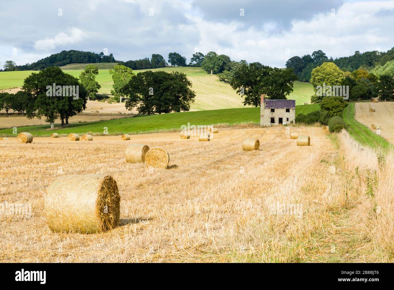 Circular hay bales or rolls of straw, in farmland in Shropshire, UK Stock Photo
