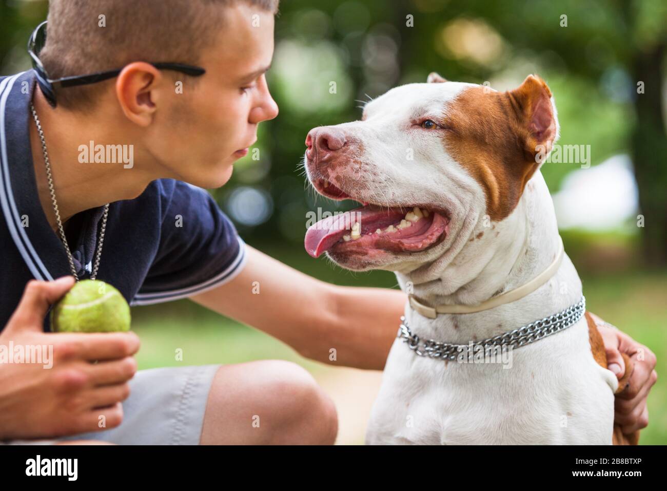 Side view of young man holding ball and wrapping arm around pit bull neck. Good-looking gentleman and gorgeous dog looking into each other eyes. Conce Stock Photo