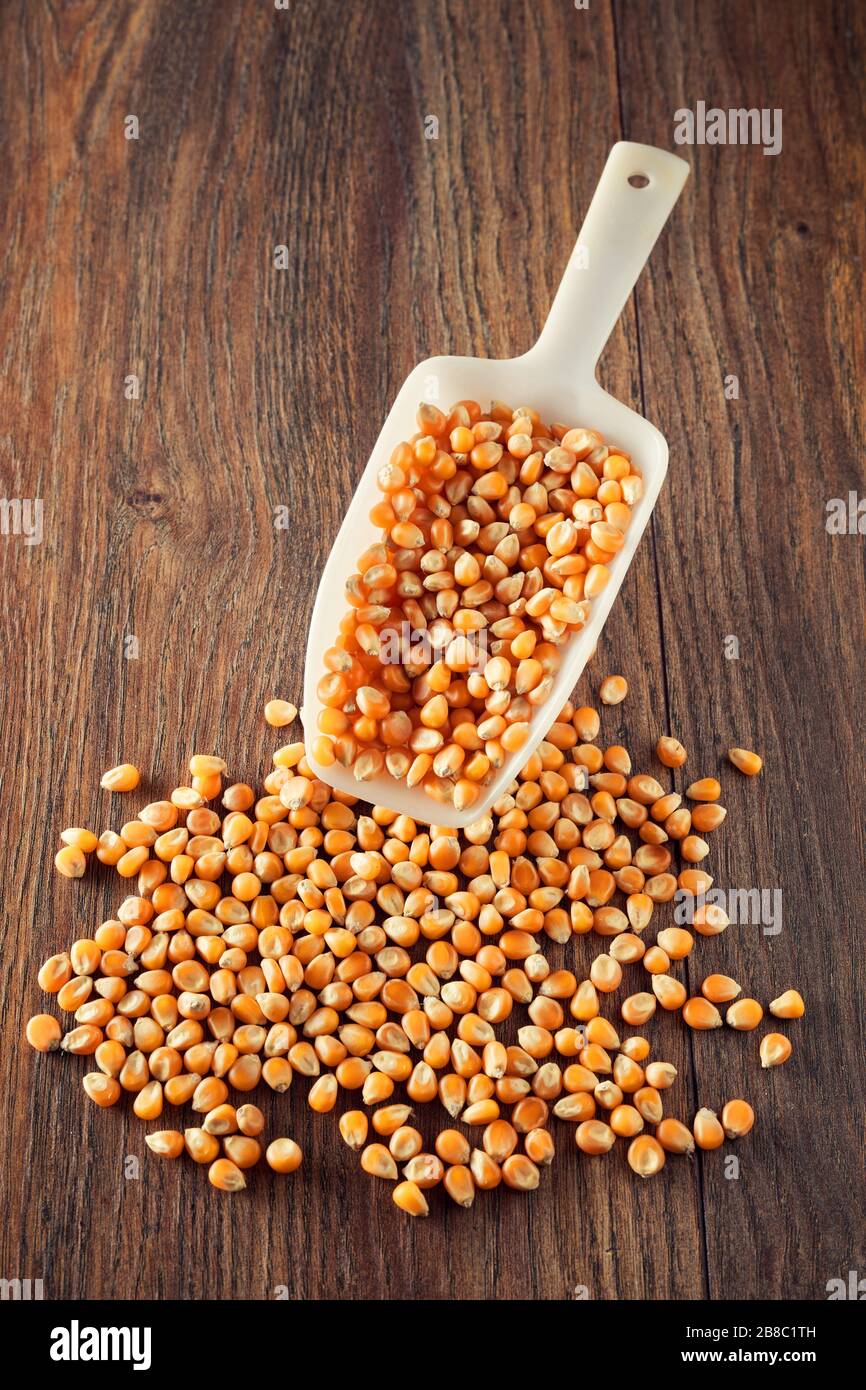 Corn maize or kernel spill out from a scoop on wooden kitchen table Stock Photo