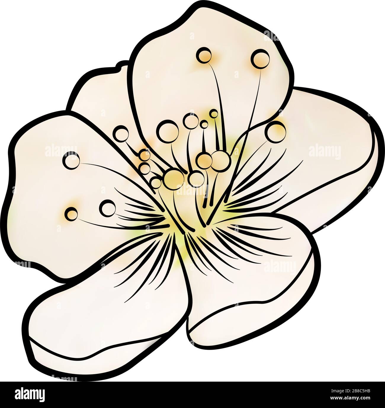 Peach blossom illustration hires stock photography and images Alamy