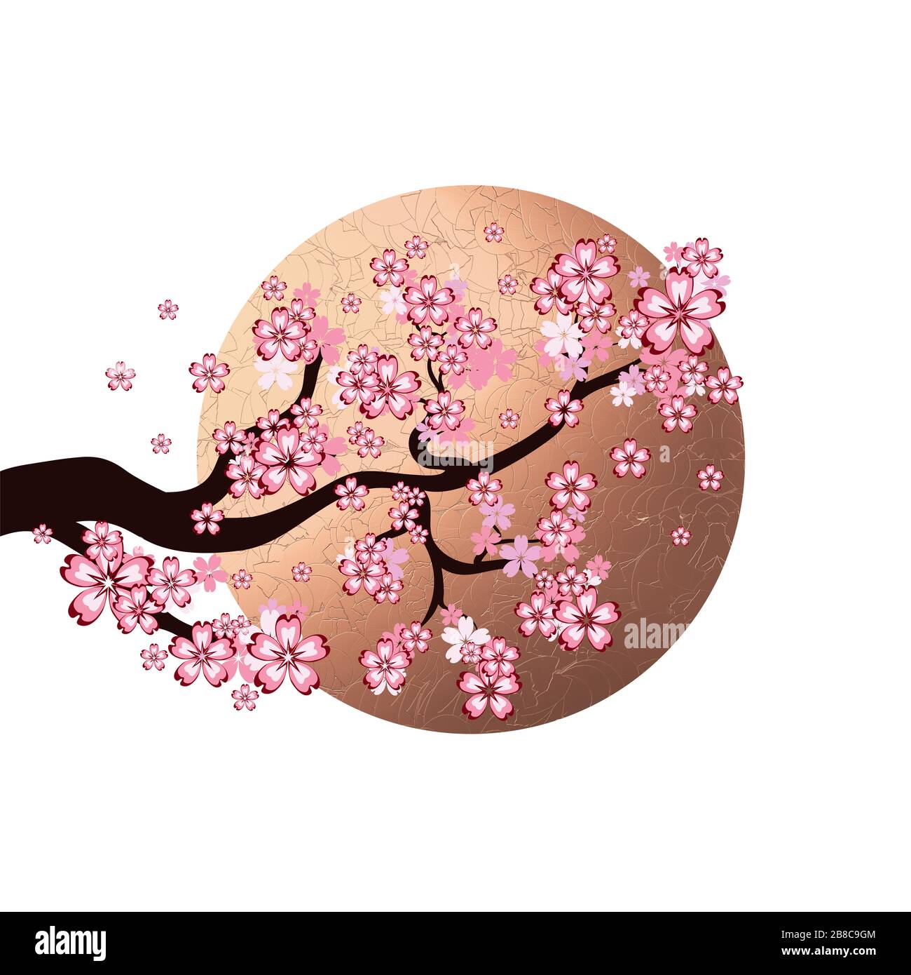 Blooming pink sakura branch with golden sun on white background Stock ...