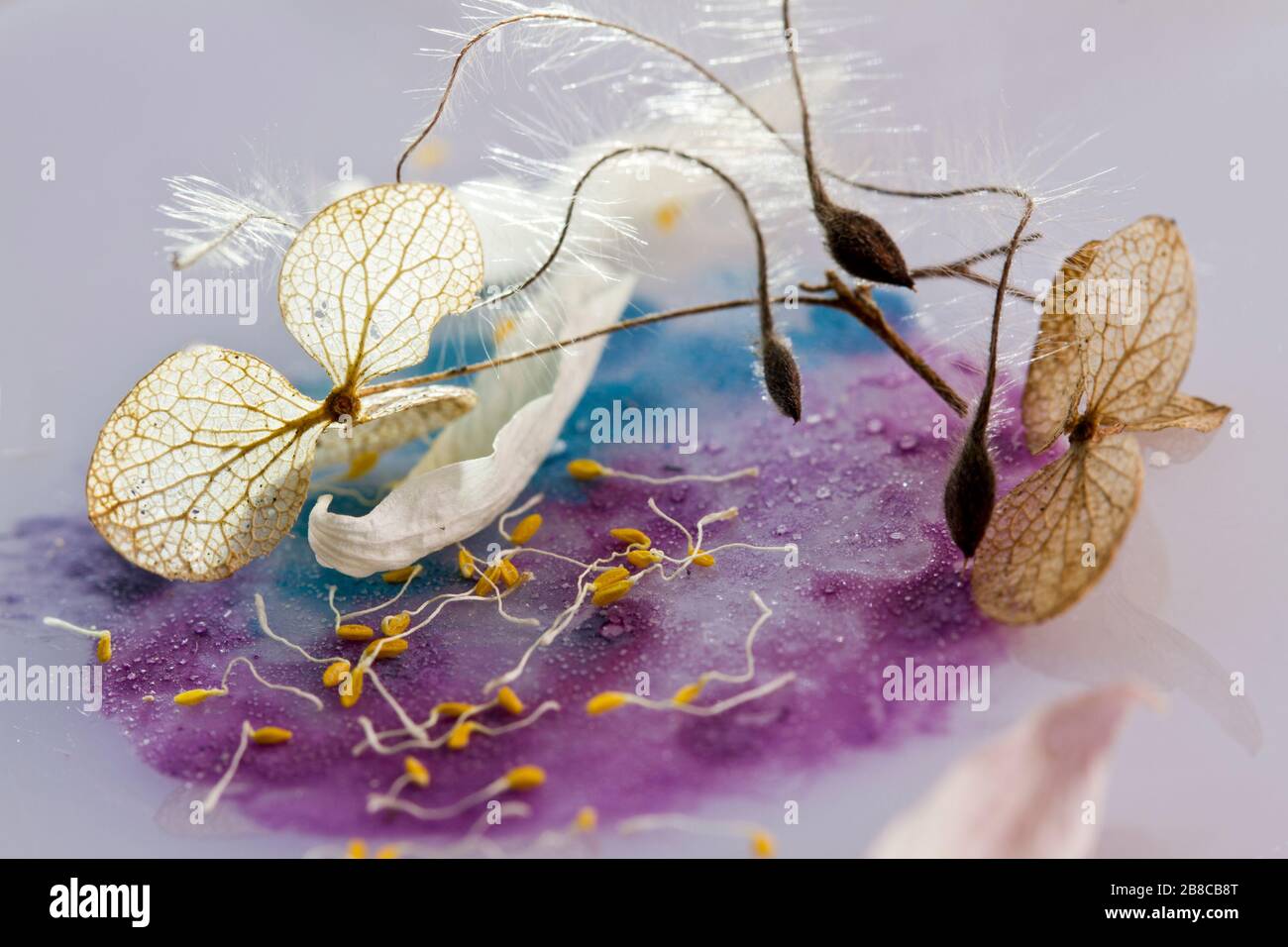 Stilllife mit Salzkristallen Stock Photo