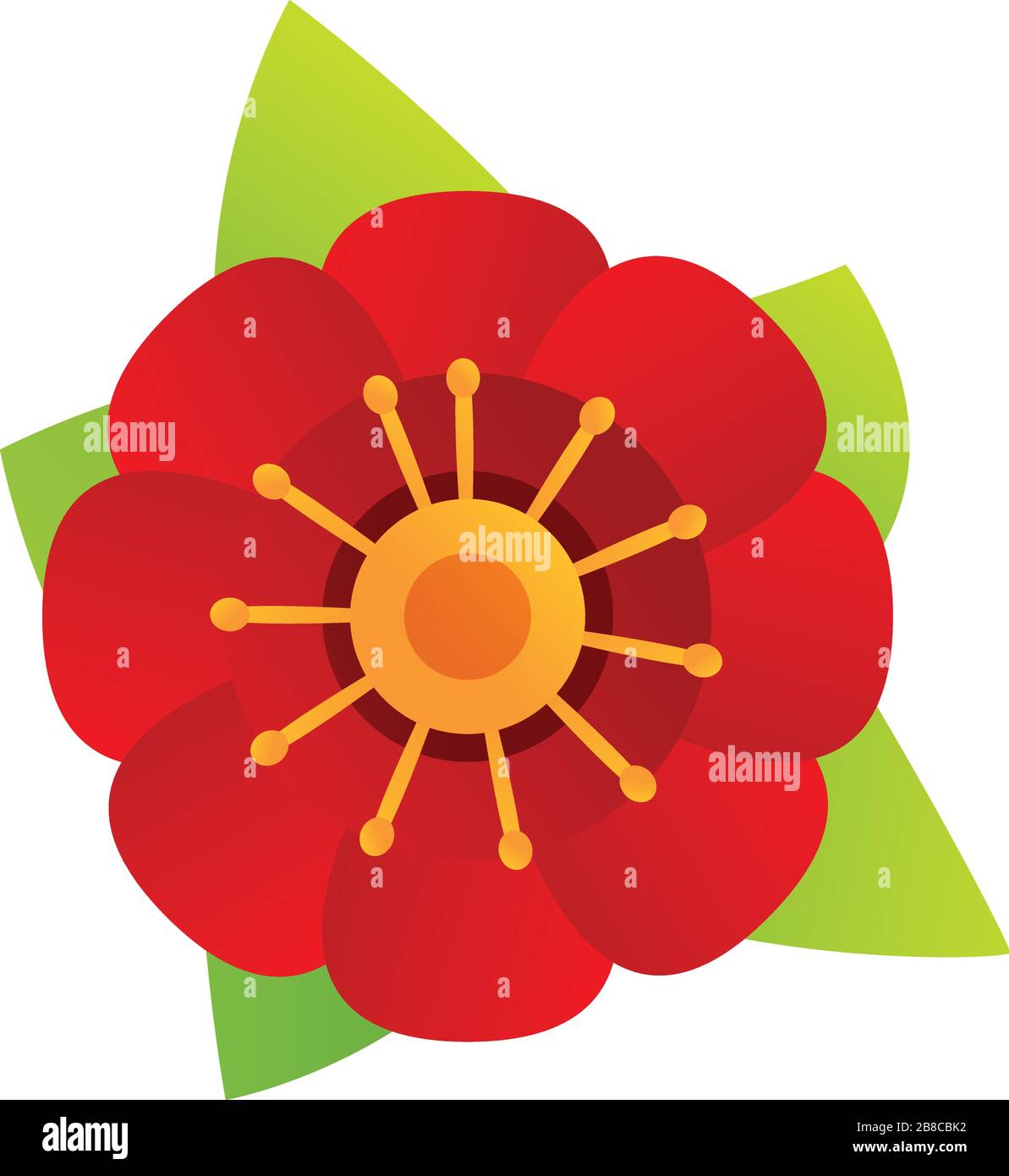 Mexican flower icon. Cartoon of mexican flower vector icon for web