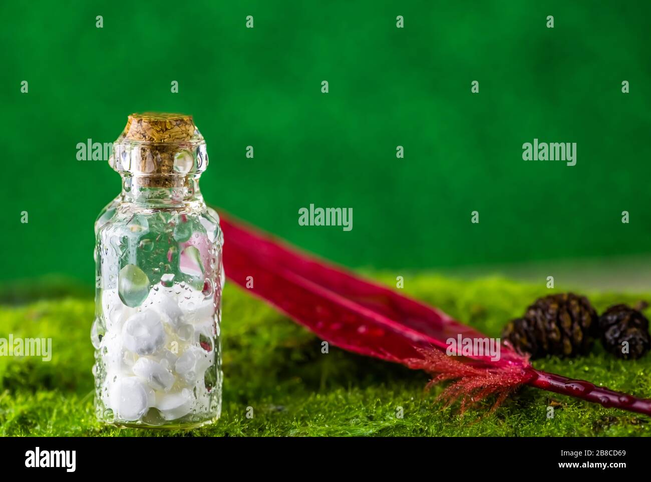 Banner White tablets in a bottle of water droplets and red feather on green background. Rain. use, naturalness, homeopathy, nature Stock Photo