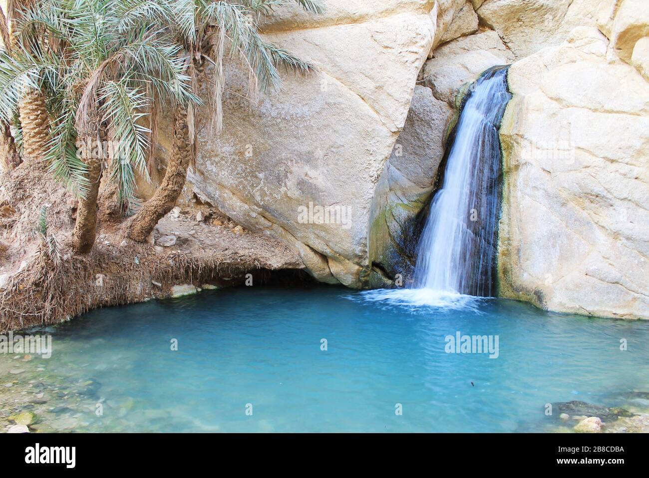 View mountain oasis chebika waterfall hi-res stock photography and ...
