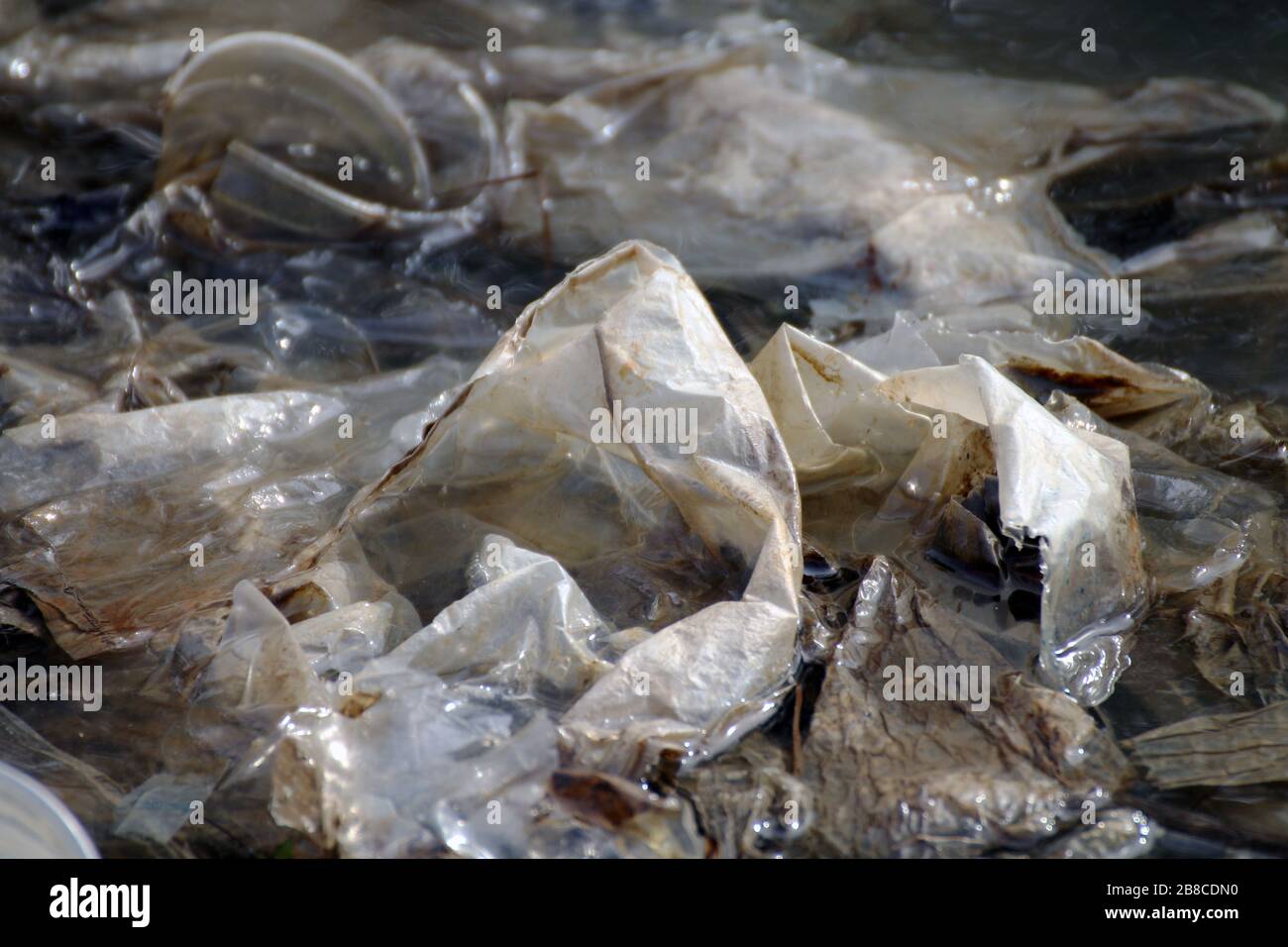 Waste plastic, Dirty plastic bags on the surface water, Waste plastic bags do not Decomposed garbage, Polluting nature ecological water dirty, Waste w Stock Photo