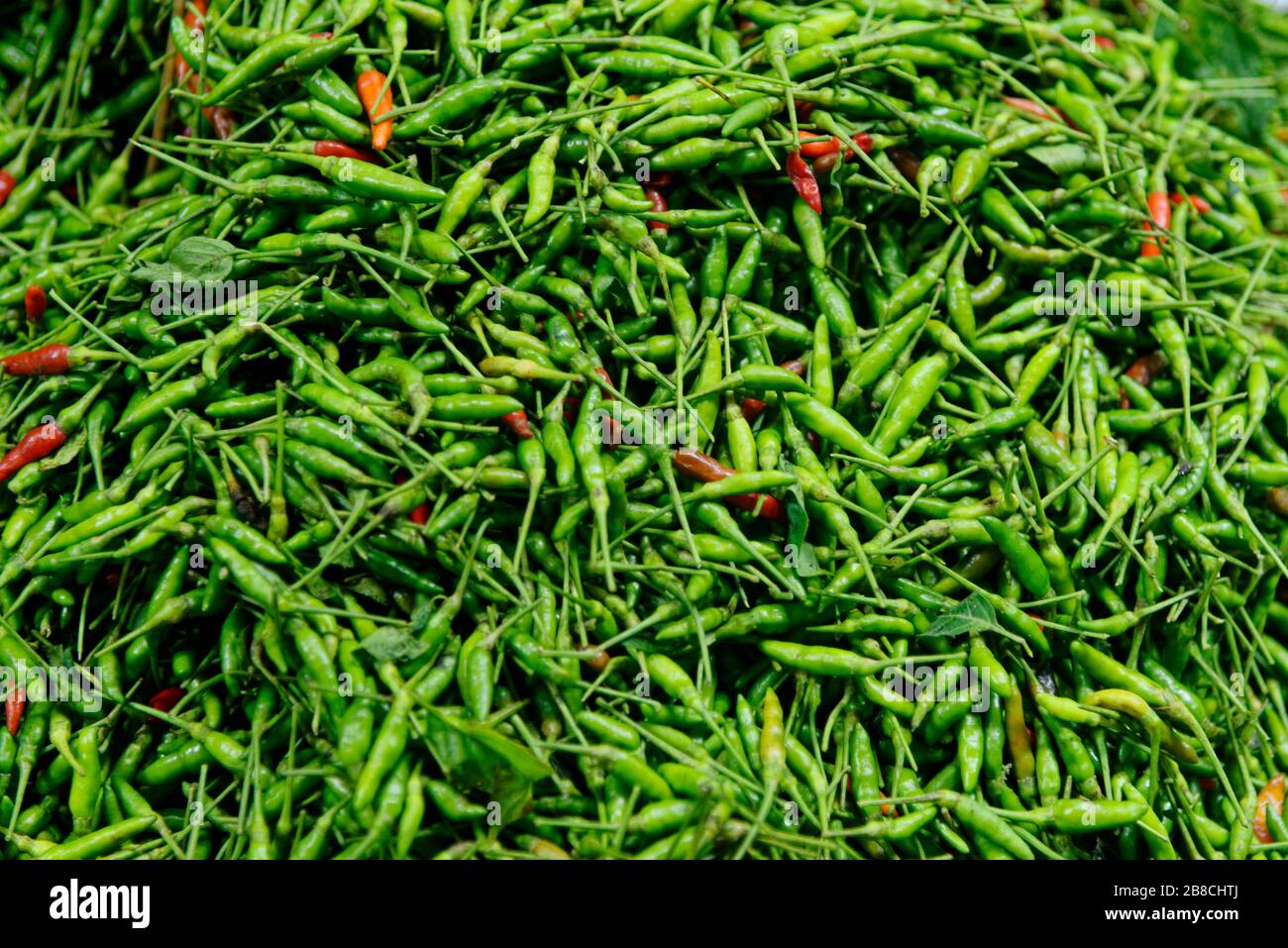 Green chilli peppers (chile serrano, sierra chilli) sold in Bangkok, Thailand, street market. Stock Photo