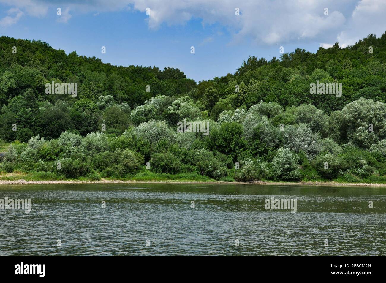 Riverscape on a windy summer day with river, forest growing on a river bank and cloudy sky. Stock Photo