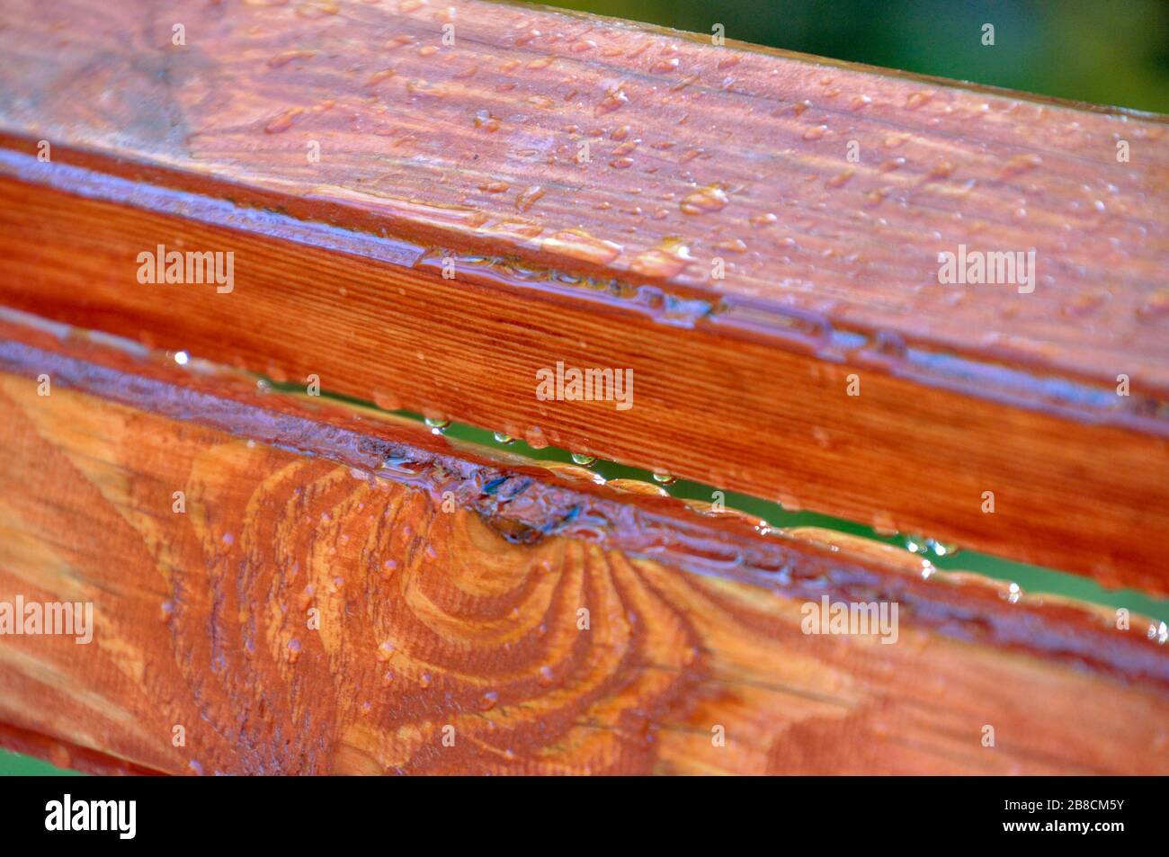 Water drops on wooden boards of the back of a bench after rain. Stock Photo