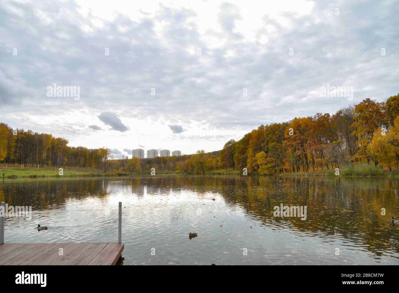 Landscape in cloudy october day with trees pond and part of wooden pier. Stock Photo