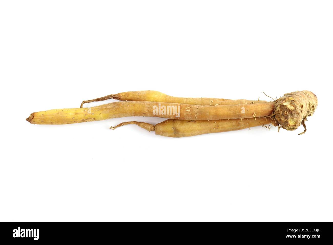 finger root on white background (krachai thai word Stock Photo Alamy