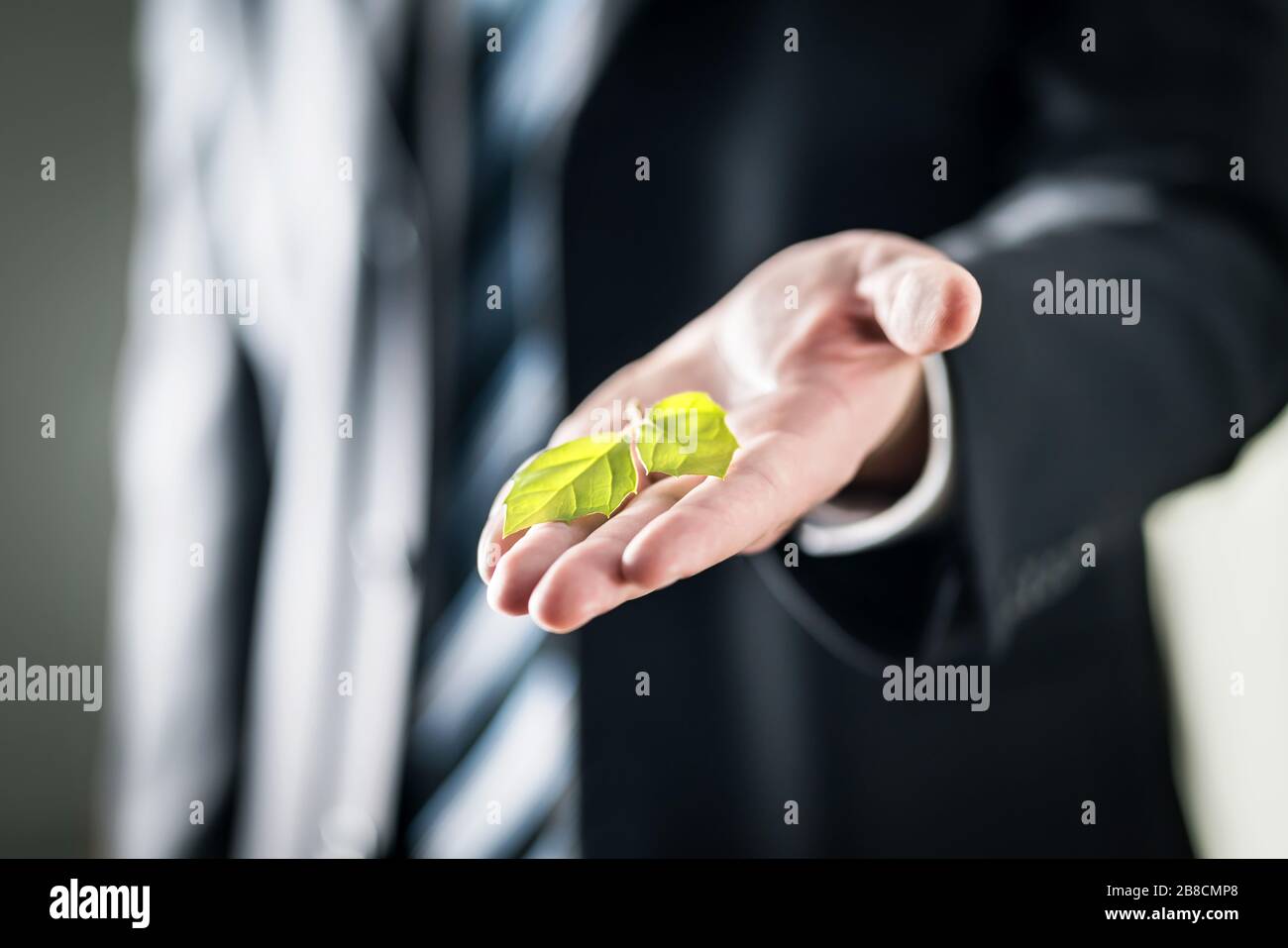 Business man holding green leaf on hand. Nature conservation, global warming, climate change and pollution concept. Eco friendly businessman. Stock Photo