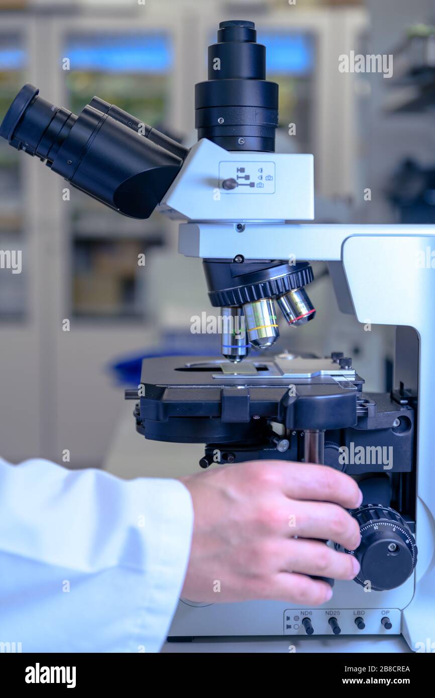 Scientific handling a light microscope examines a laboratory sample for pharmaceutical bioscience research. Concept of science, laboratory and study o Stock Photo