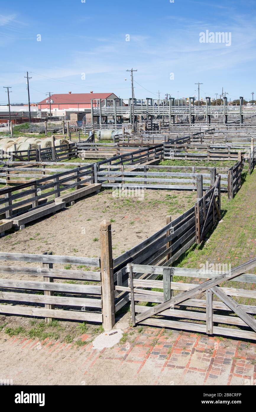 Cattle pens uk hi-res stock photography and images - Alamy