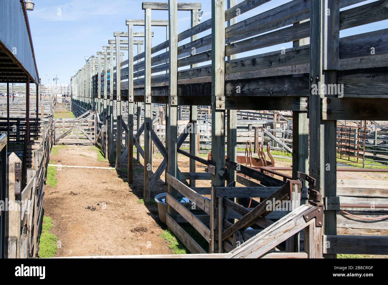 cattle pens at the stockyards in fort worth texas Stock Photo Alamy