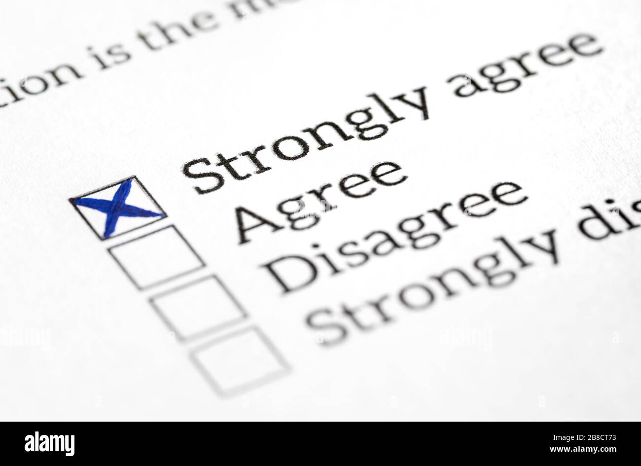 Agree box checked in opinion poll, survey and questionnaire. Happy and positive answer in politics or human resources employee feedback or experience. Stock Photo