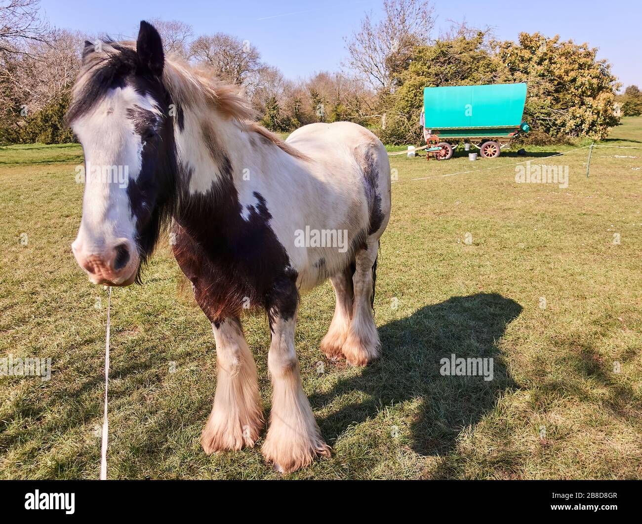 Horse and dray hi-res stock photography and images - Alamy