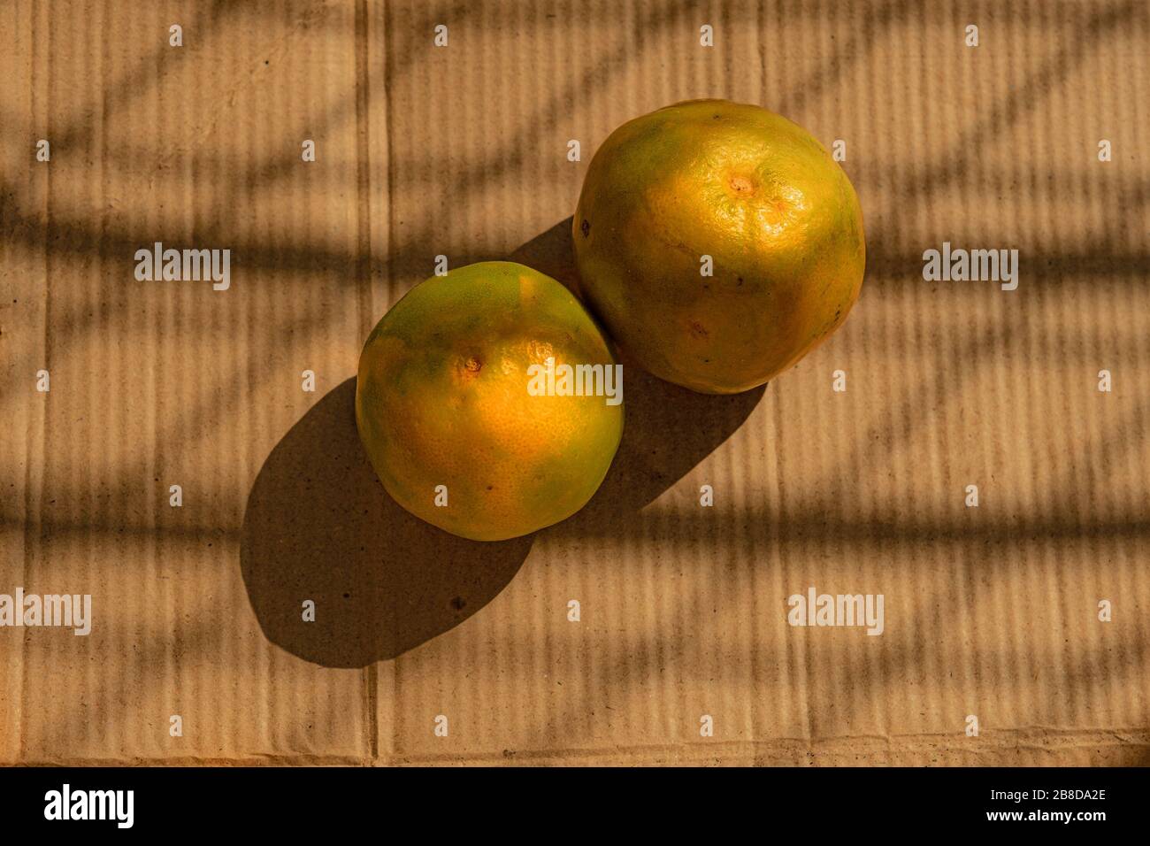 oranges in shadow Stock Photo