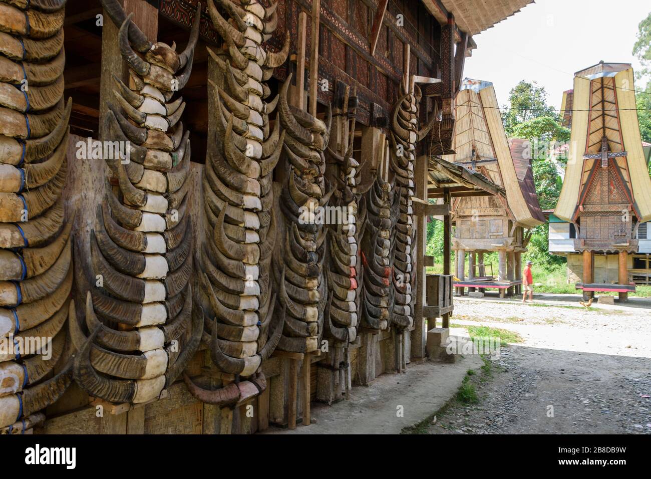 Tongkonan, an ancestral house in Tana Toraja, Sulawesi, Indonesia. Stock Photo
