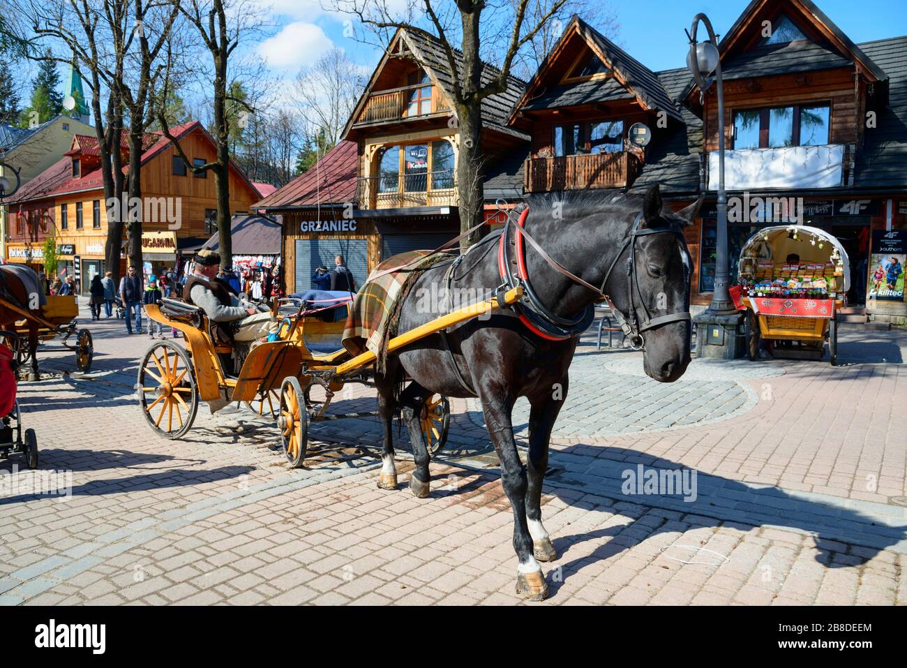 Horse-drawn carriage in the pedestrian zone and promenade Krupowki, Zakopane, Tatra, Lesser Poland, Poland Stock Photo