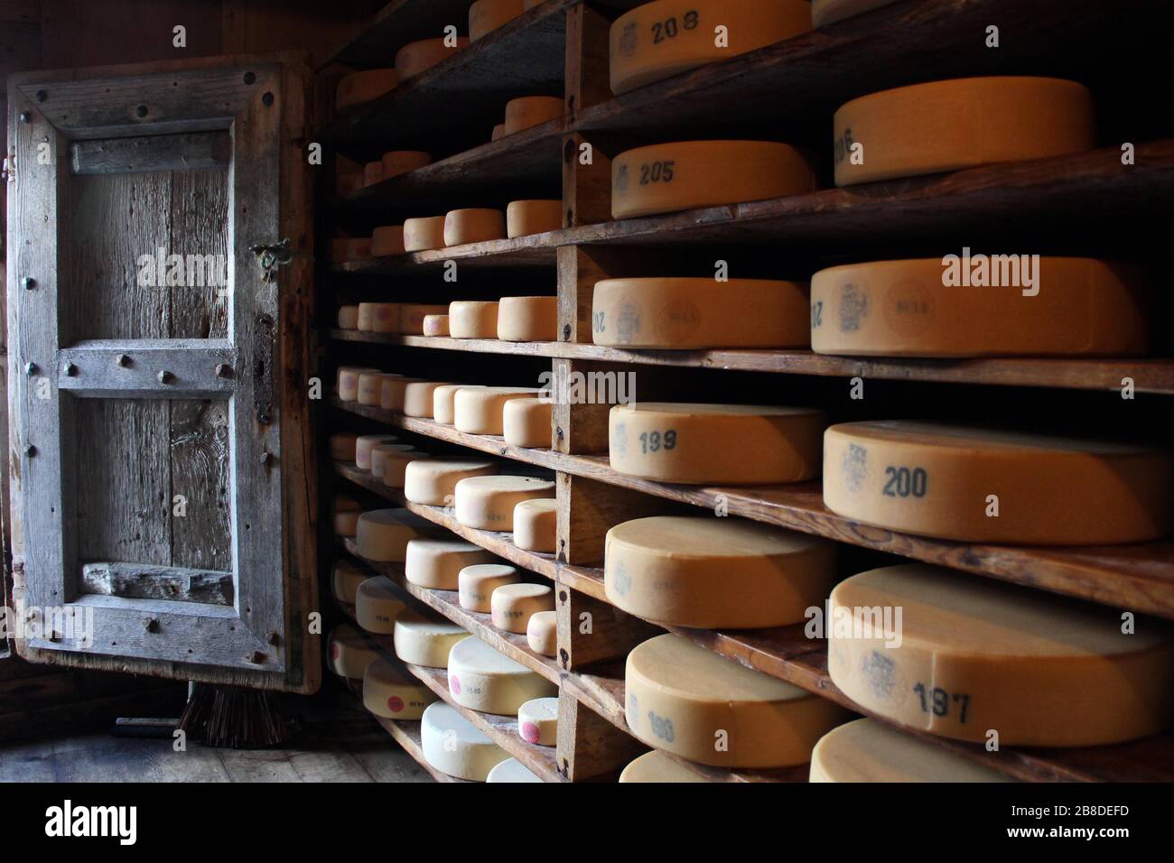 Cheese loaves in a cheese warehouse, Grosse Scheidegg, Grindelwald, Berner Oberland, Switzerland