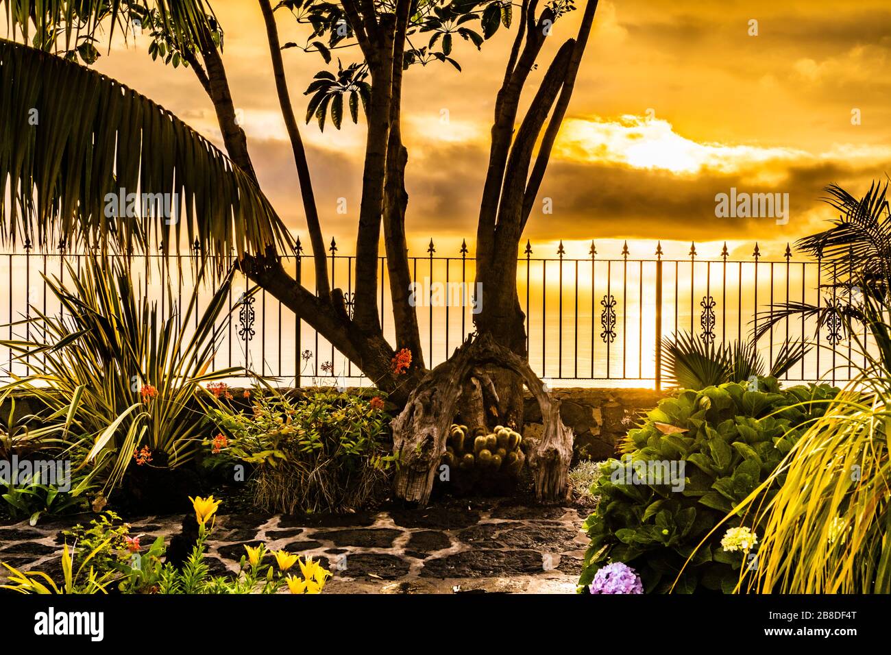 Sunset over thee Atlantic Ocean from a beautiful garden in southern La Palma, Canary Islands, Spain Stock Photo