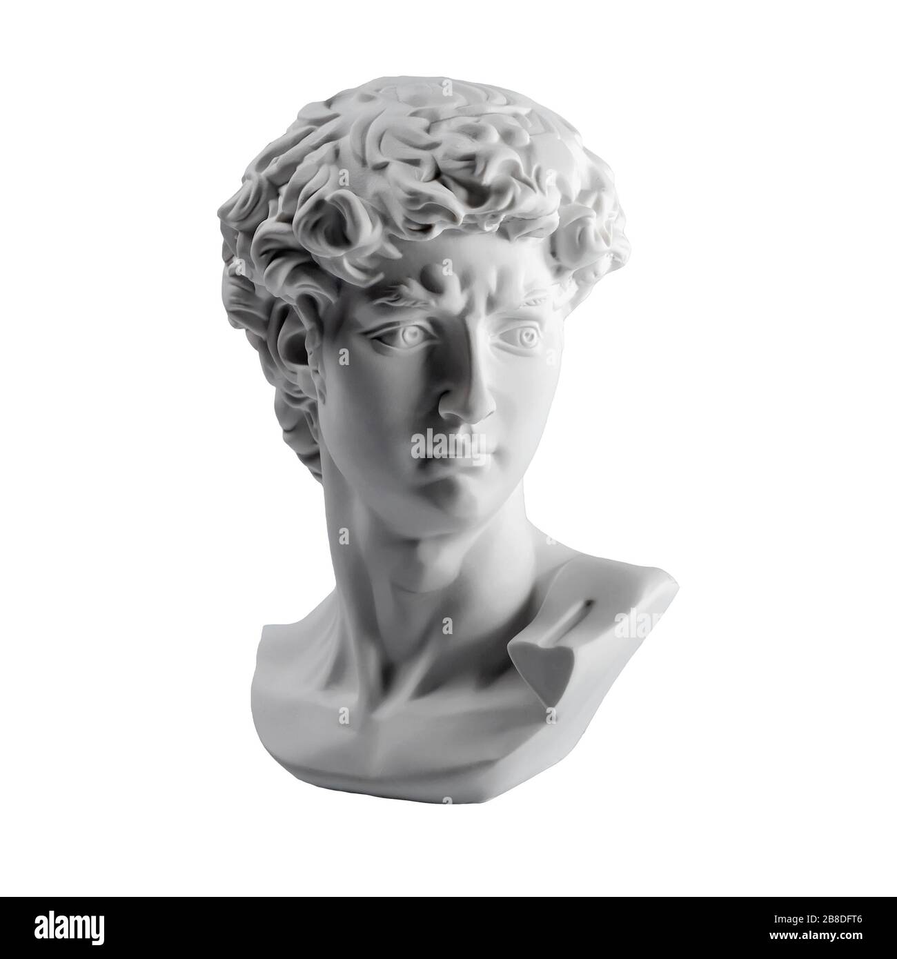 Gypsum statue of David's head. Michelangelo's David statue plaster copy