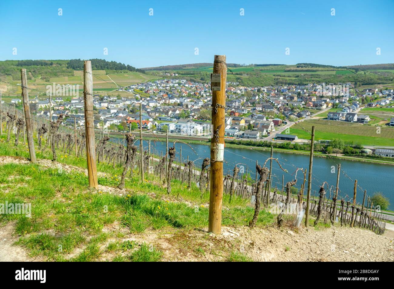 Nittel village (Germany) between vineyards in the Moselle valley wine  region, with fields all around, seen from Luxembourg across the border  river Stock Photo - Alamy