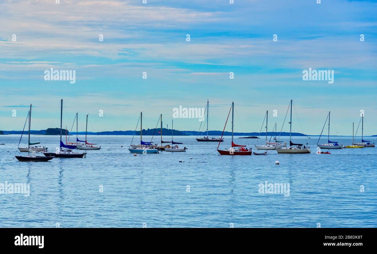 Bouncing up and down on the quiet waves, many sailboats gather in Portland, Maine along the East Promenade harbor Stock Photo