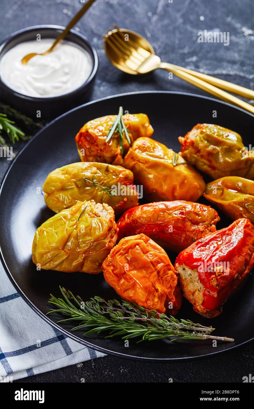 Close-up of stuffed bell peppers with rice, ground beef, and pork baked in tomato sauce, rosemary and thyme on a black plate with sour cream and gold Stock Photo