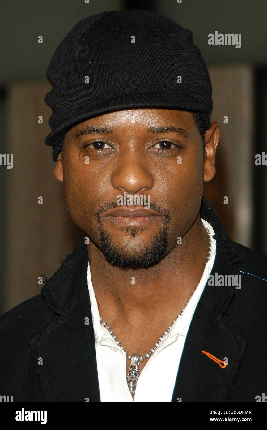 Blair Underwood at the Los Angeles Premiere of 'Something New' held at the Cinerama Dome in Hollywood, CA. The event took place on Tuesday, January 24, 2006.  Photo by: SBM / PictureLux - File Reference # 33984-10567SBMPLX Stock Photo