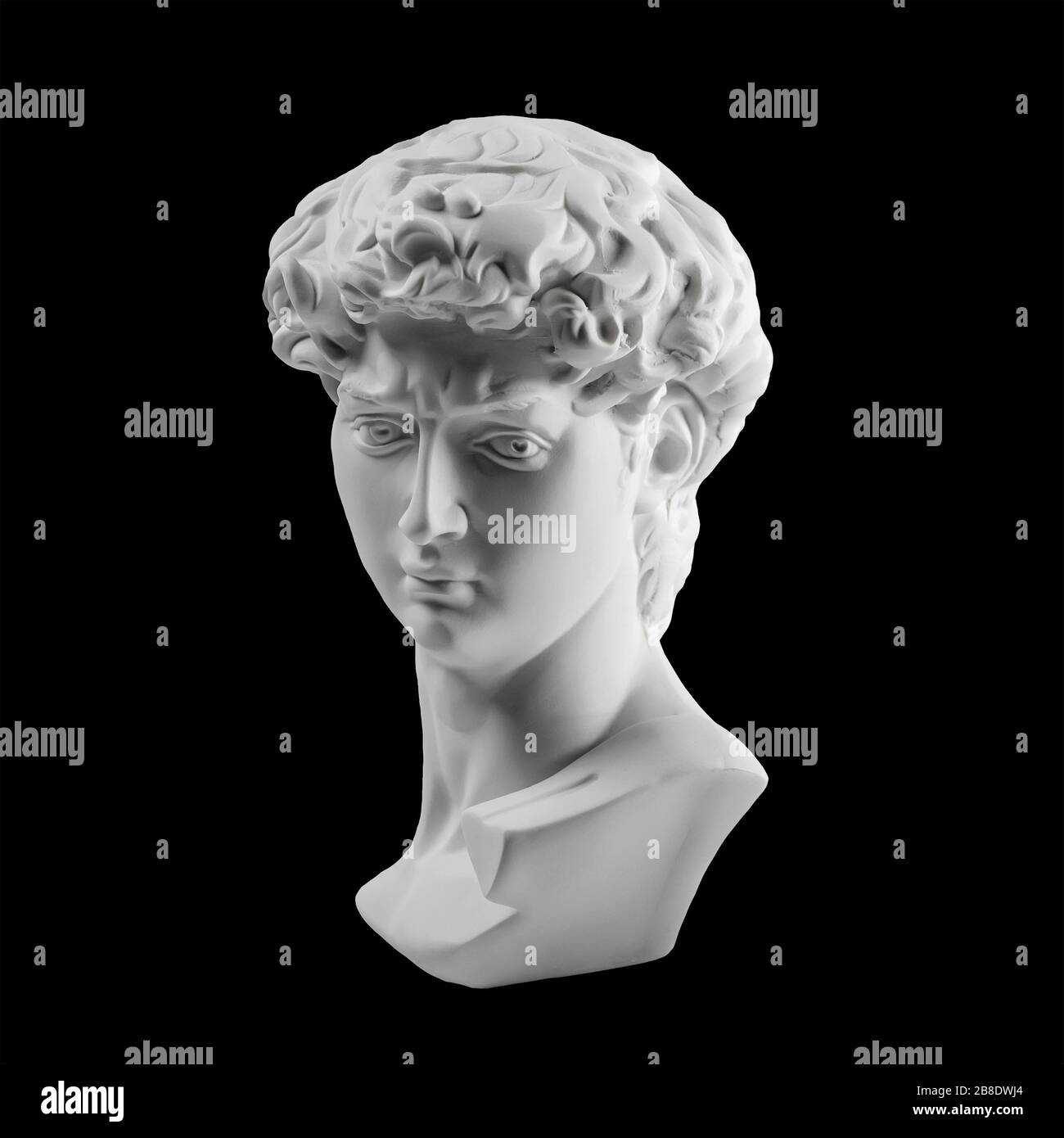 Gypsum statue of David's head. Michelangelo's David statue plaster copy isolated on black