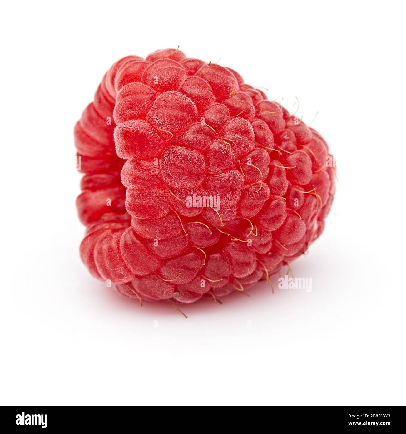 Raspberry Isolated on White Background Stock Photo