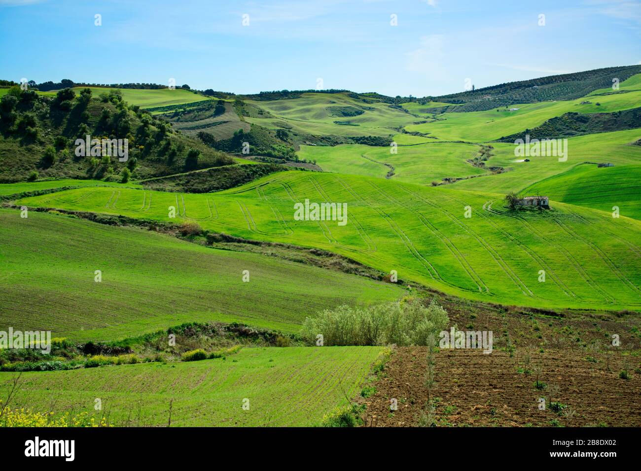 Rolling hills of Andalusia early in spring Stock Photo