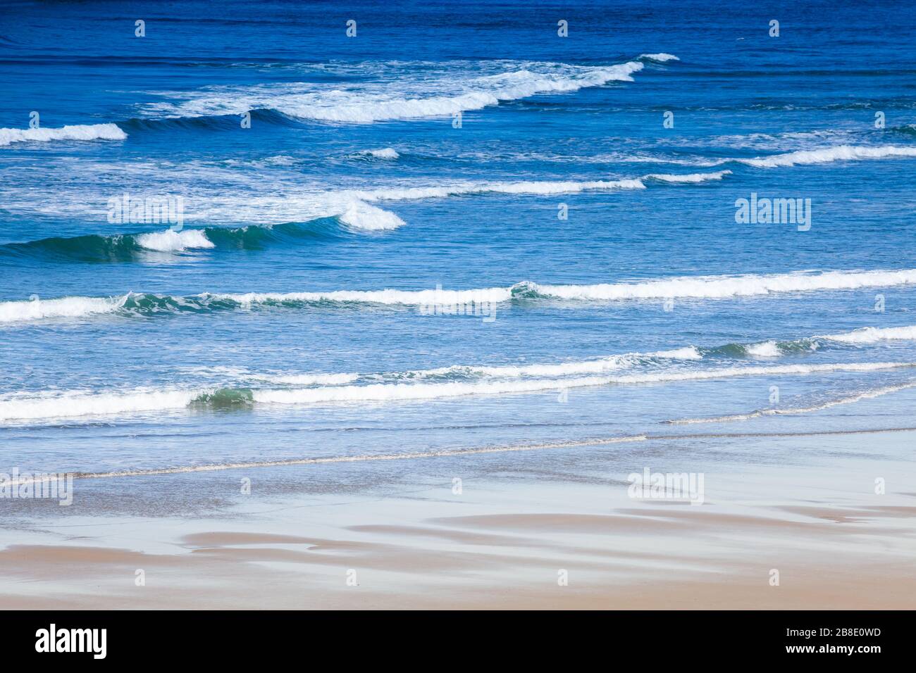 Long waves of pacific ocean on the sand beach of USA west coast Stock Photo