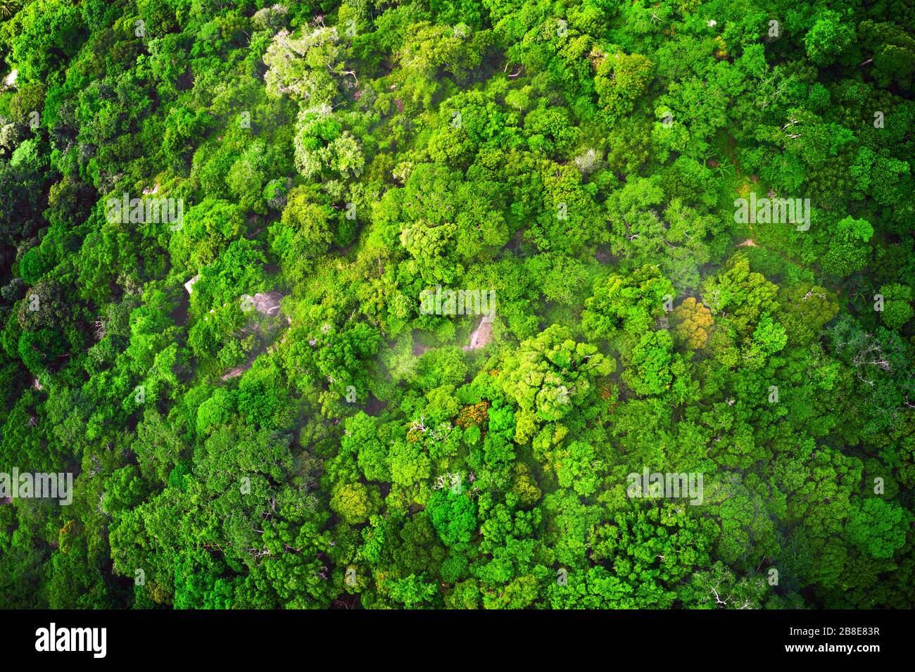 Aerial mist hi-res stock photography and images - Alamy