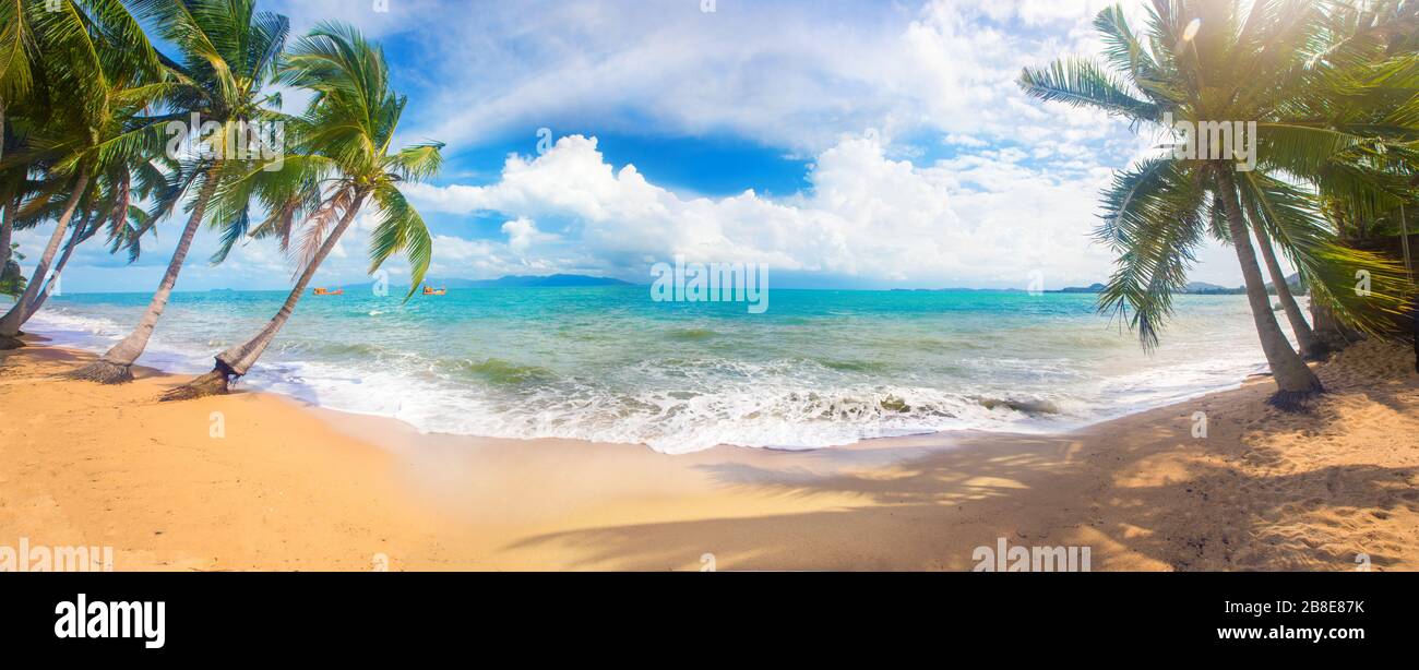 panoramic tropical beach with coconut palm Stock Photo - Alamy