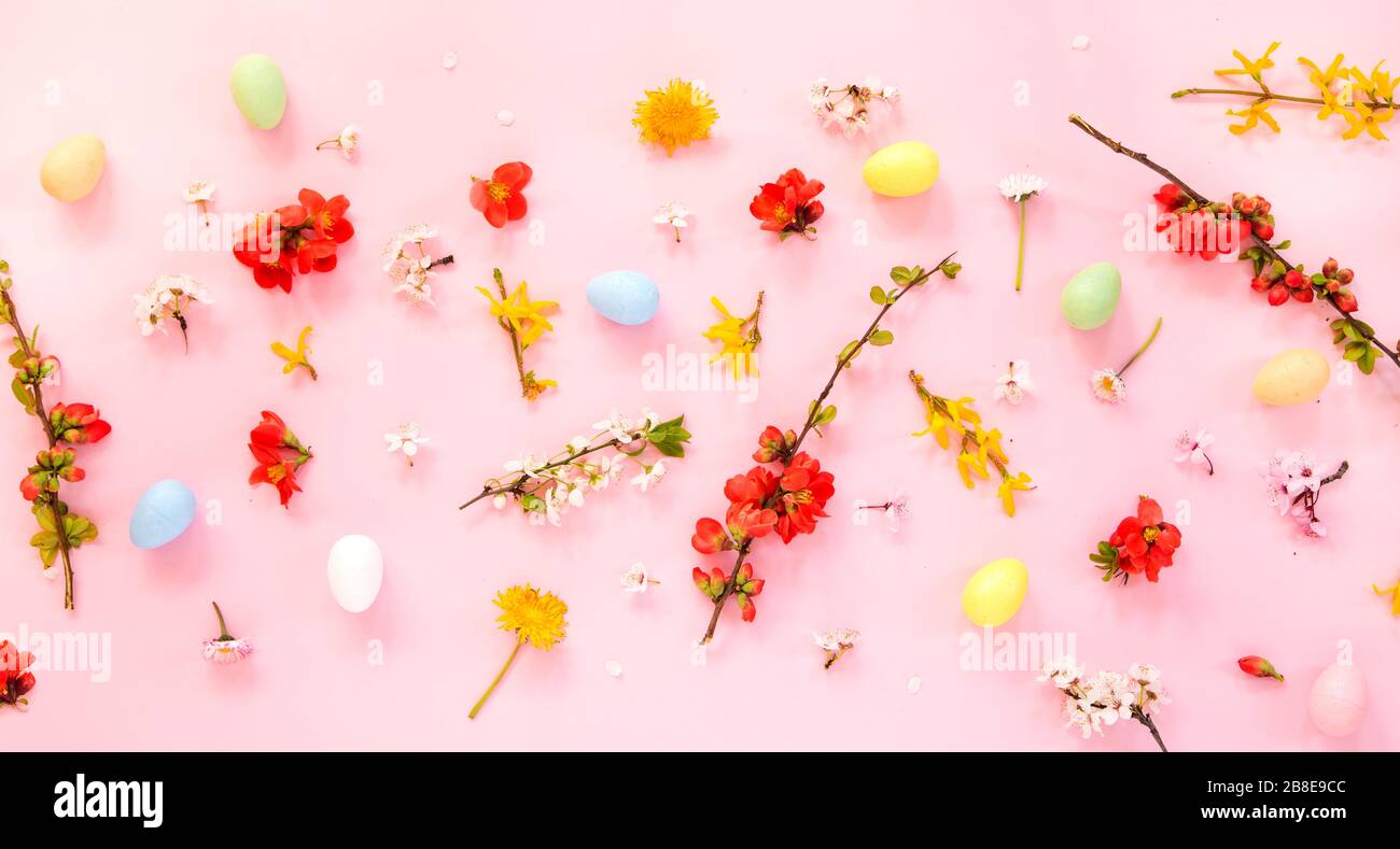 Easter eggs and spring flowers on pink background Stock Photo