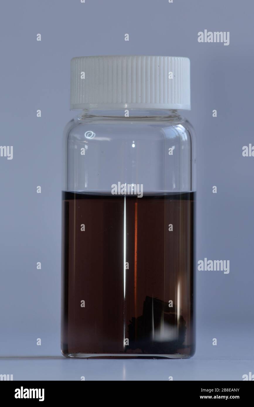 Colour of methanol extracted slivers of Endangered Dalbergia tree species, Dalbergia melanoxylon African Blackwood, Ebony, CITES Appendix II, IUCN Red Stock Photo