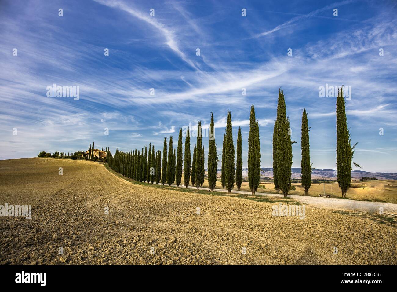 viale cipressi toscana Stock Photo - Alamy