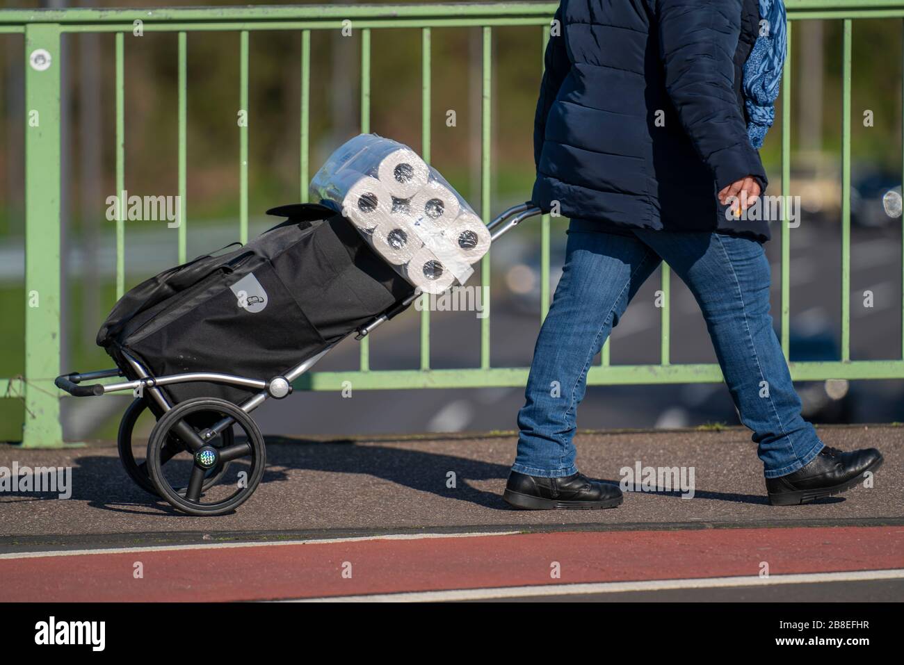 Effects of the coronavirus crisis, woman has bought a bulk pack of toilet paper, Cologne, Germany, Stock Photo