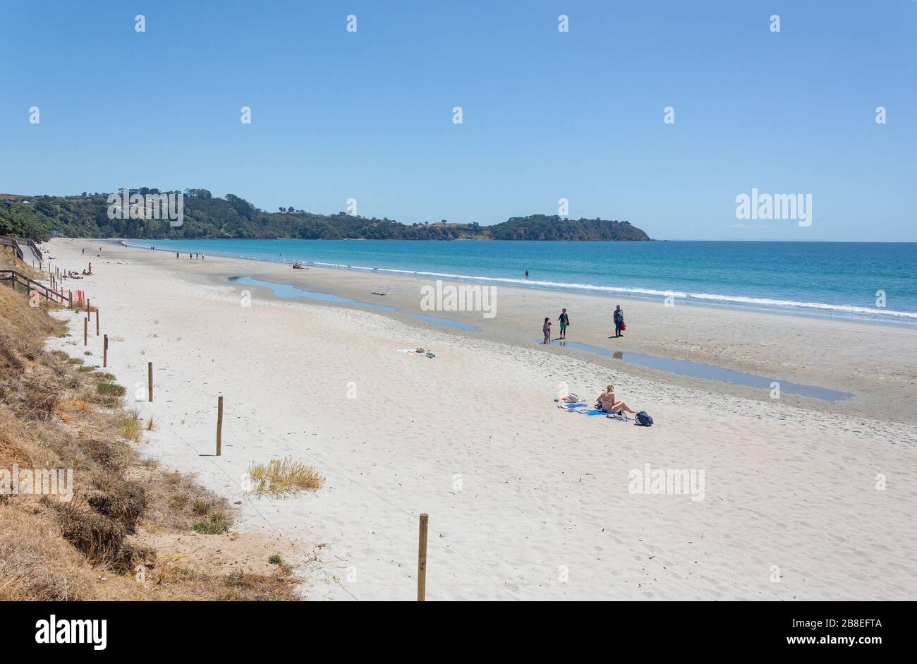 Onetangi Beach, Onetangi Bay, Waiheke Island, Hauraki Gulf, Auckland, New Zealand Stock Photo