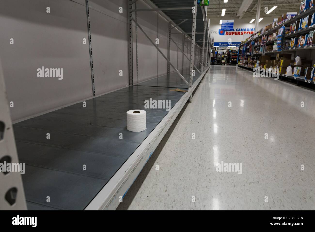 NORTH VANCOUVER, BC, CANADA - MAR 19, 2020: An empty shelf with a single roll of toilet paper at a supermarket as panic buying grips the world as the Stock Photo