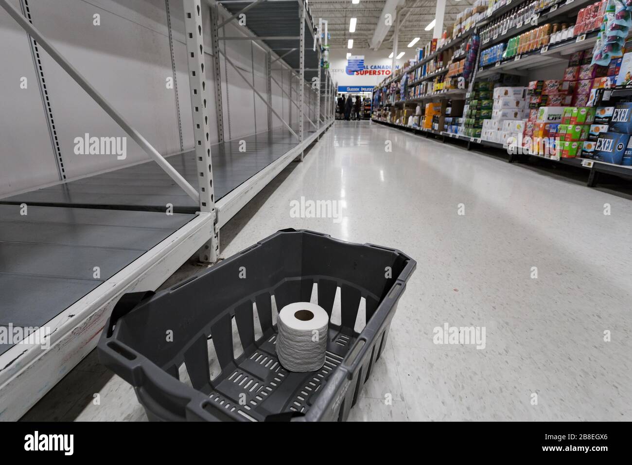NORTH VANCOUVER, BC, CANADA - MAR 19, 2020: An empty shelf with a single roll of toilet paper in a shopping basket at a supermarket as panic buying Stock Photo