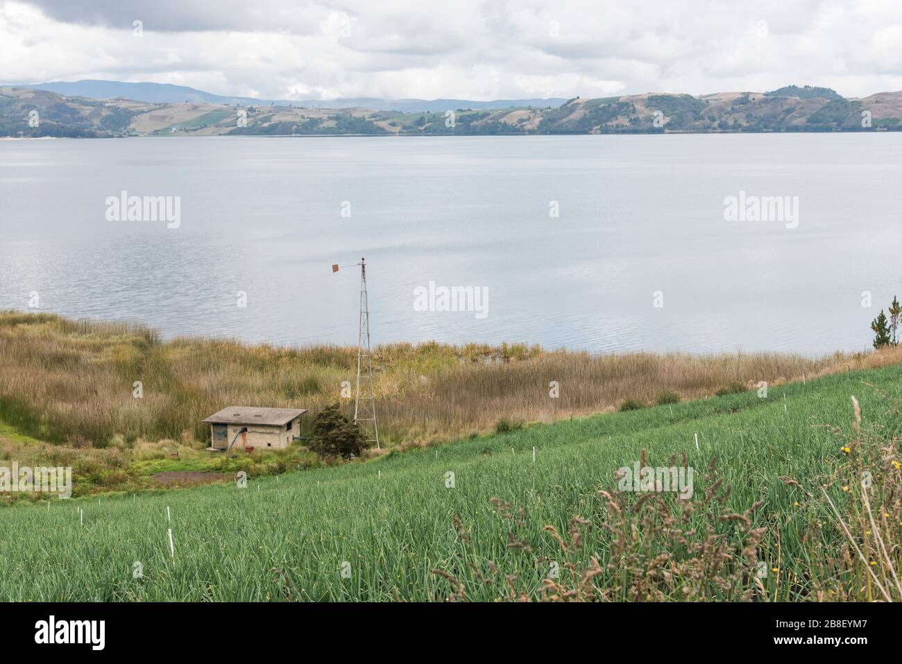 Aquitania, Boyaca / Colombia; April 8, 2018: Andean landscape, rural construction and welsh onion fields, Allium fistulosum, near Tota, the largest Co Stock Photo